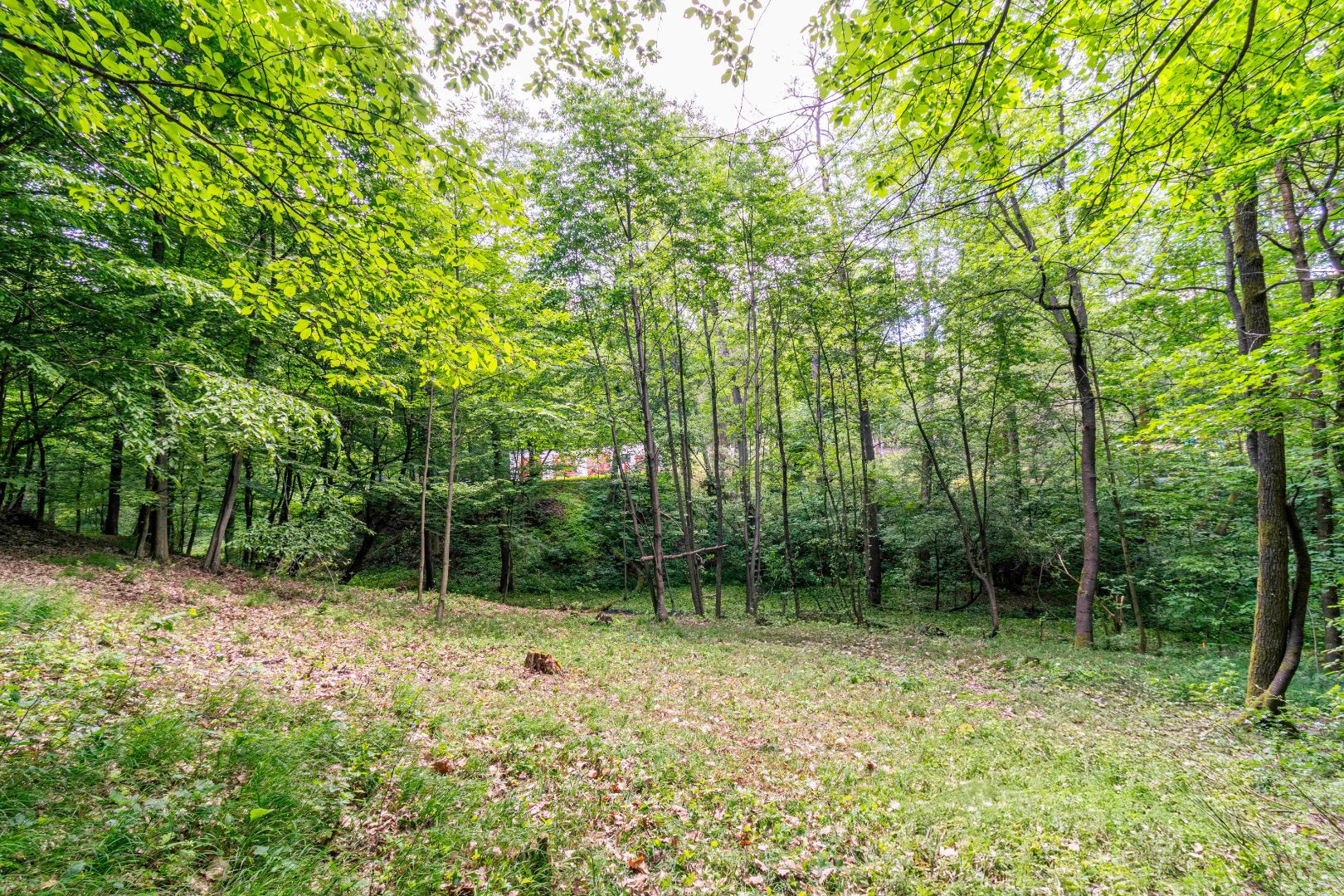 Pozemok v lone prírody s potôčikom– ideálny pre vašu vysnívanú chatu!