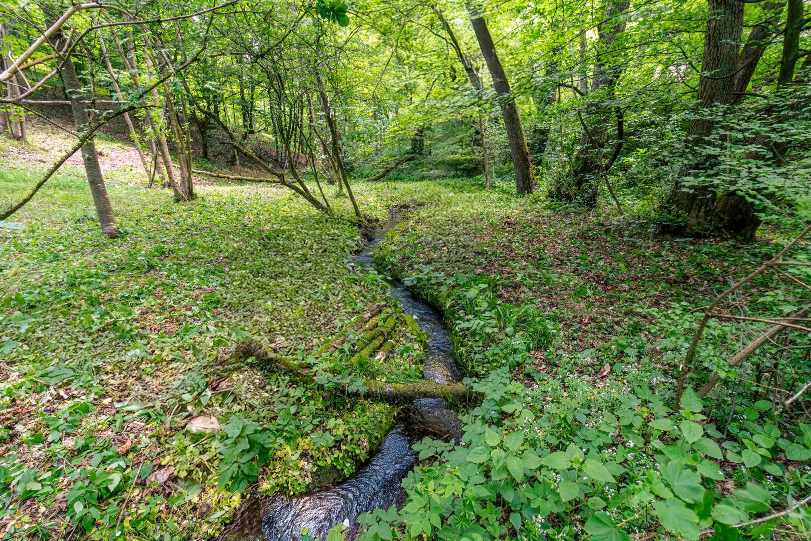 Pozemok v lone prírody s potôčikom– ideálny pre vašu vysnívanú chatu!