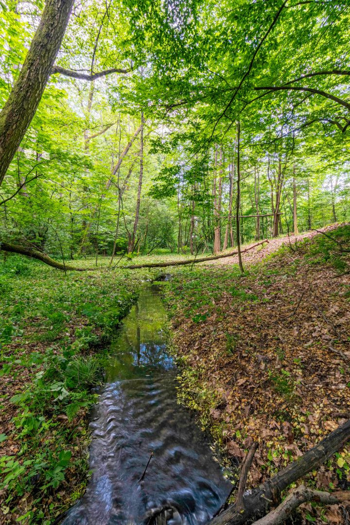 Pozemok v lone prírody s potôčikom– ideálny pre vašu vysnívanú chatu!