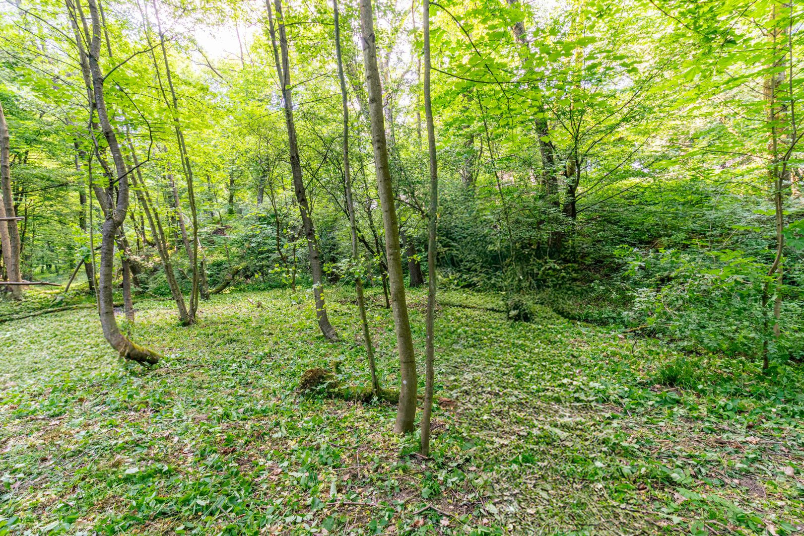 Pozemok v lone prírody s potôčikom– ideálny pre vašu vysnívanú chatu!