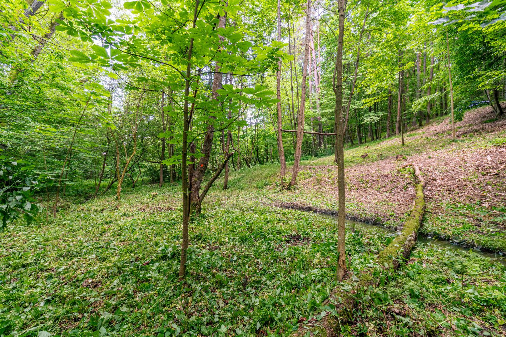 Pozemok v lone prírody s potôčikom– ideálny pre vašu vysnívanú chatu!