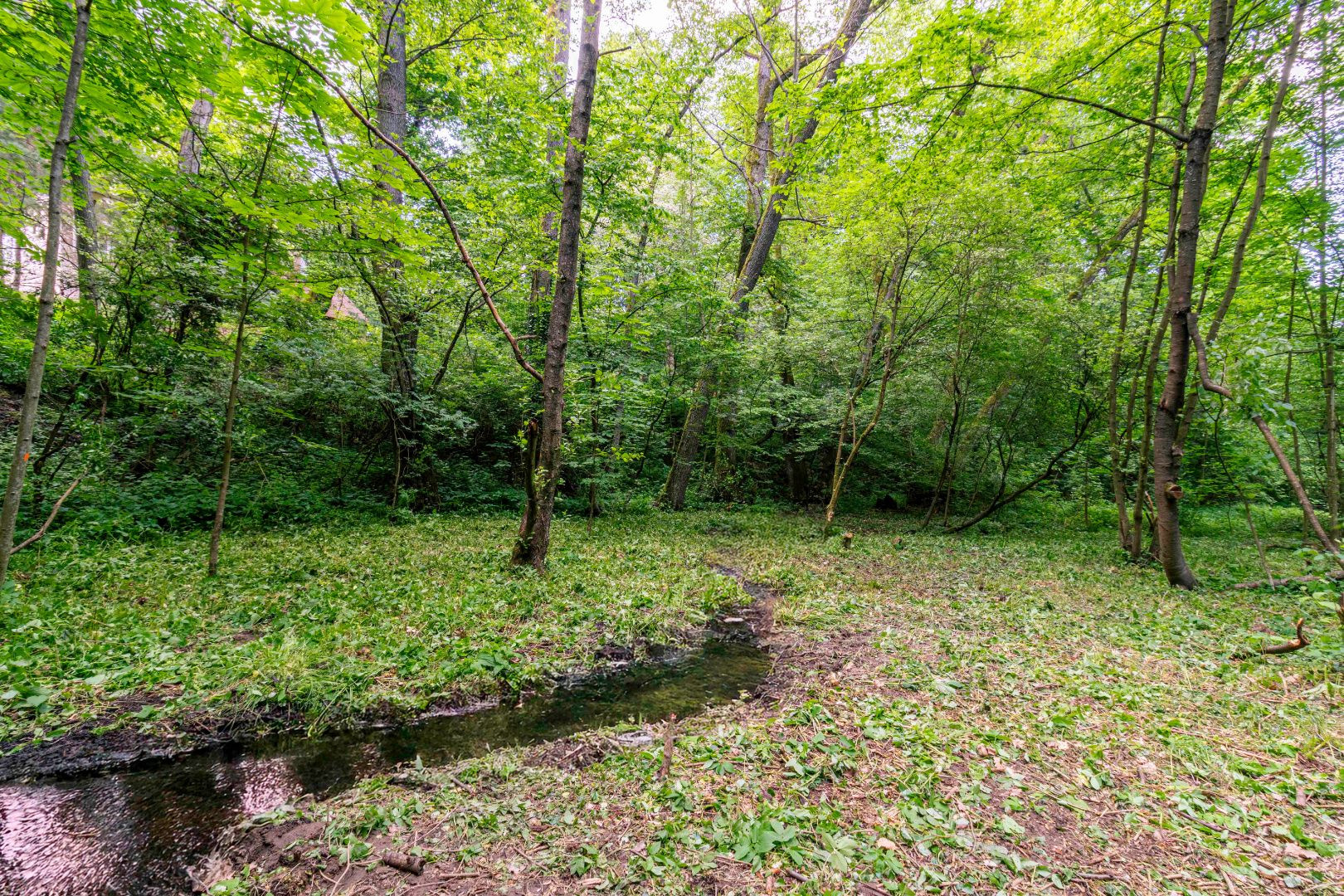 Pozemok v lone prírody s potôčikom– ideálny pre vašu vysnívanú chatu!