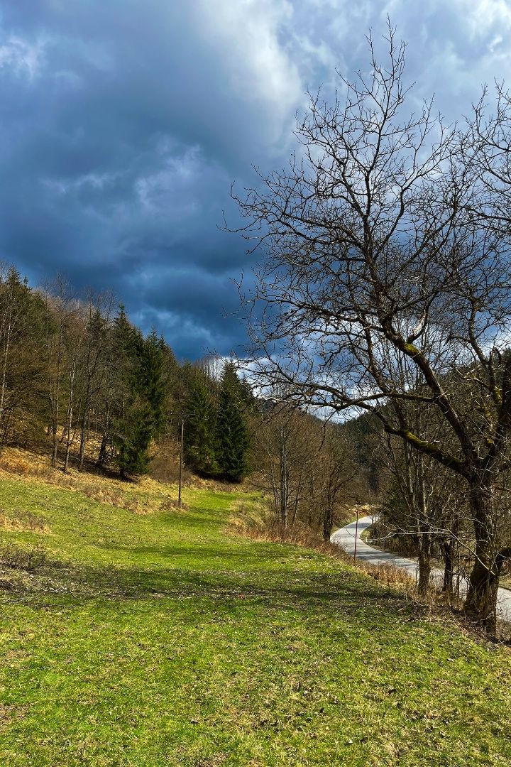 Rozľahlý pozemok v Hornej Marikovej – 15 777 m²