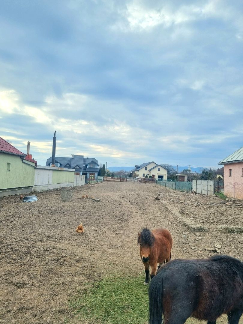 Na predaj pozemok v obci MILHOSTOV