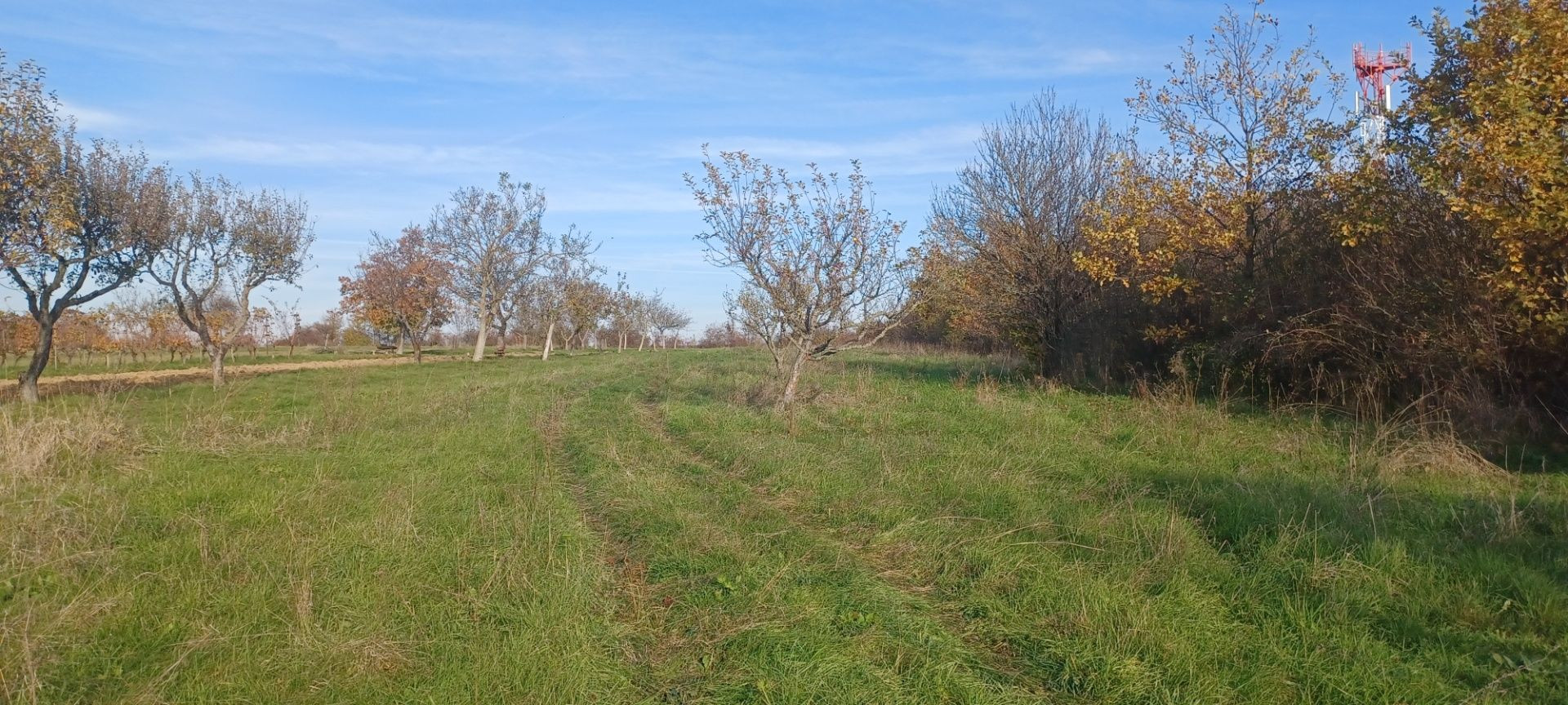 ZNÍŽENÁ CENA! - Pozemok s inžinierskymi sieťami Žemberovce / Levice