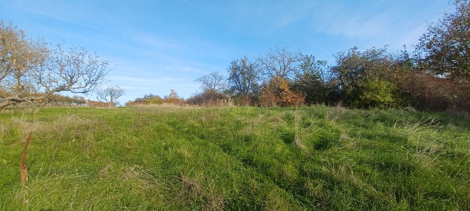 ZNÍŽENÁ CENA! - Pozemok s inžinierskymi sieťami Žemberovce / Levice