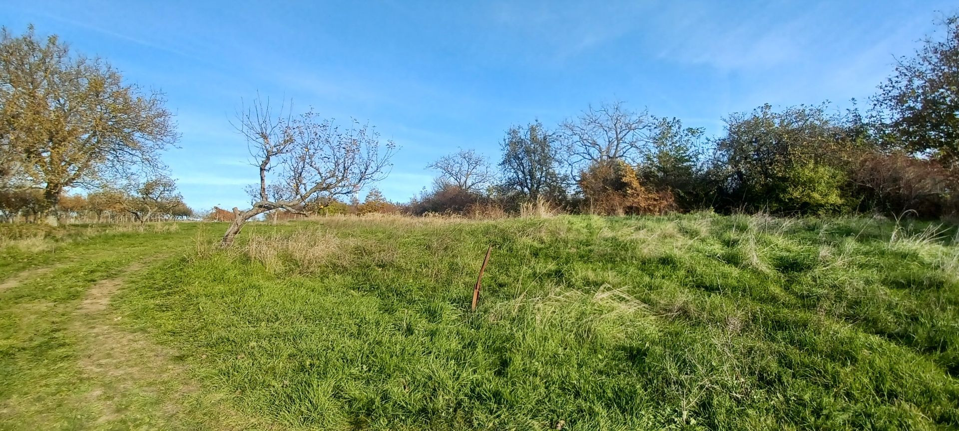 ZNÍŽENÁ CENA! - Pozemok s inžinierskymi sieťami Žemberovce / Levice