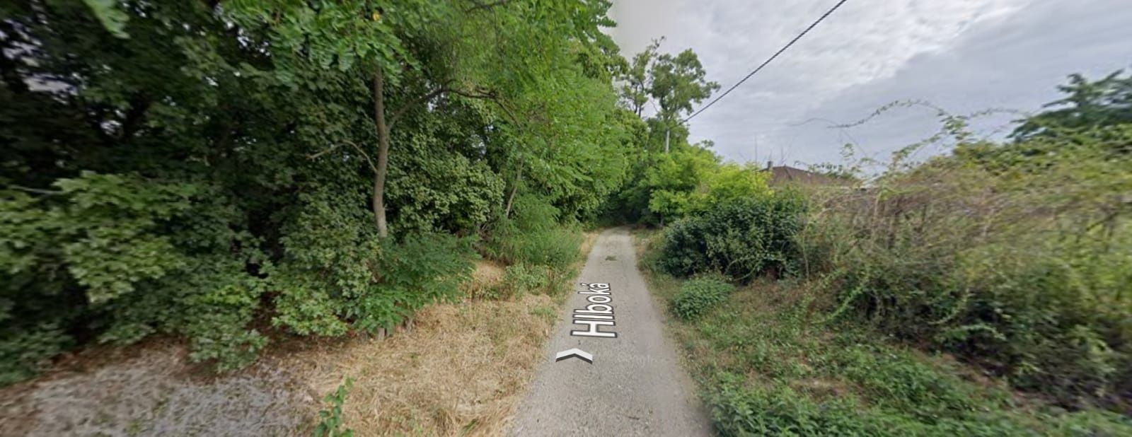 Predaj pozemku - záhrada v Bučanoch