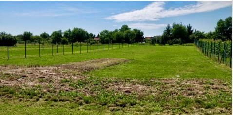 Rozľahlý pozemok v obci Pavlice okr.Trnava