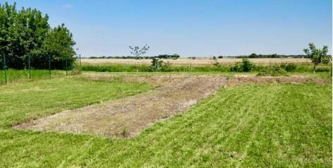 Rozľahlý pozemok v obci Pavlice okr.Trnava