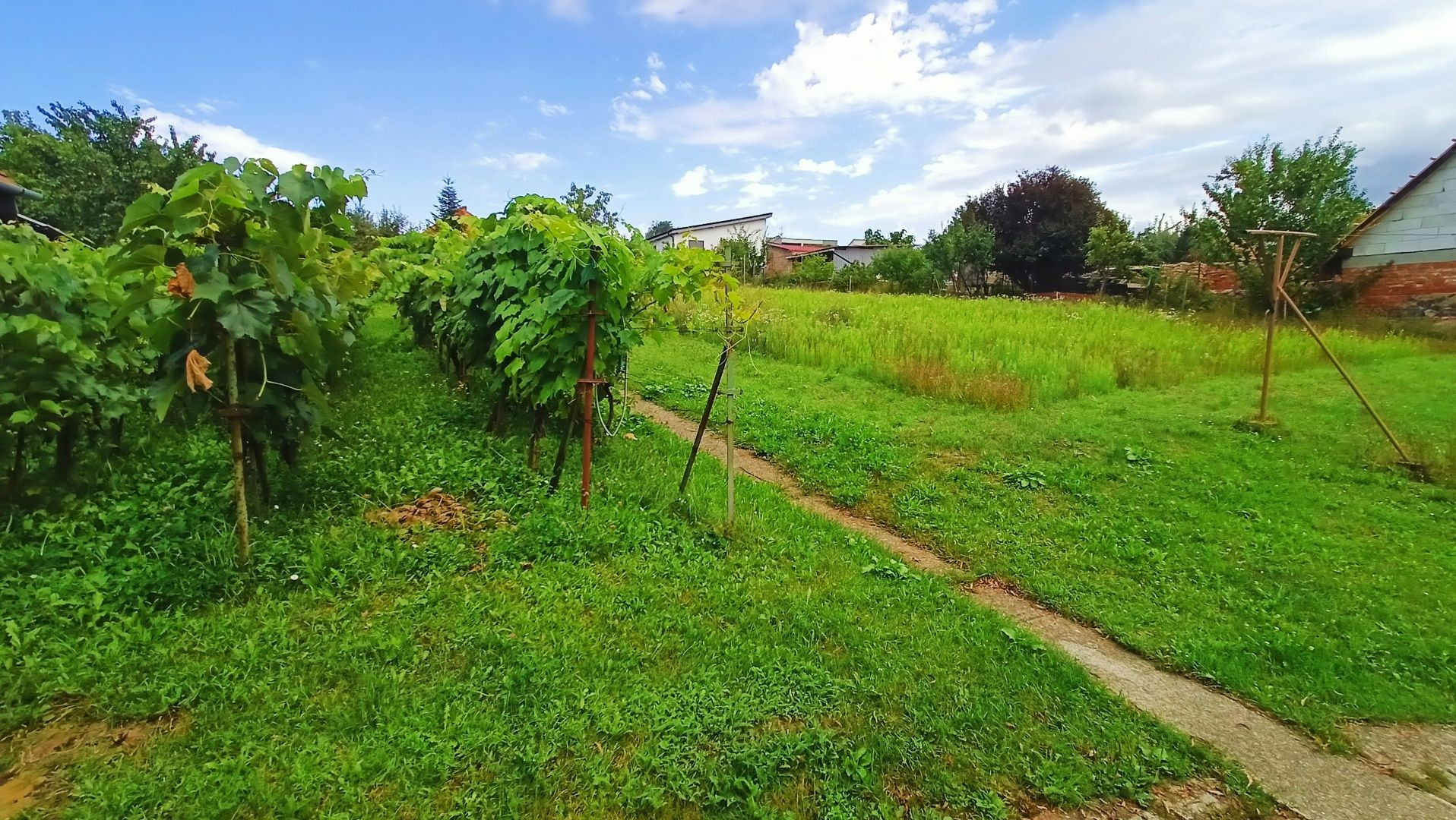 Exkluzívne - veľký pozemok na predaj
