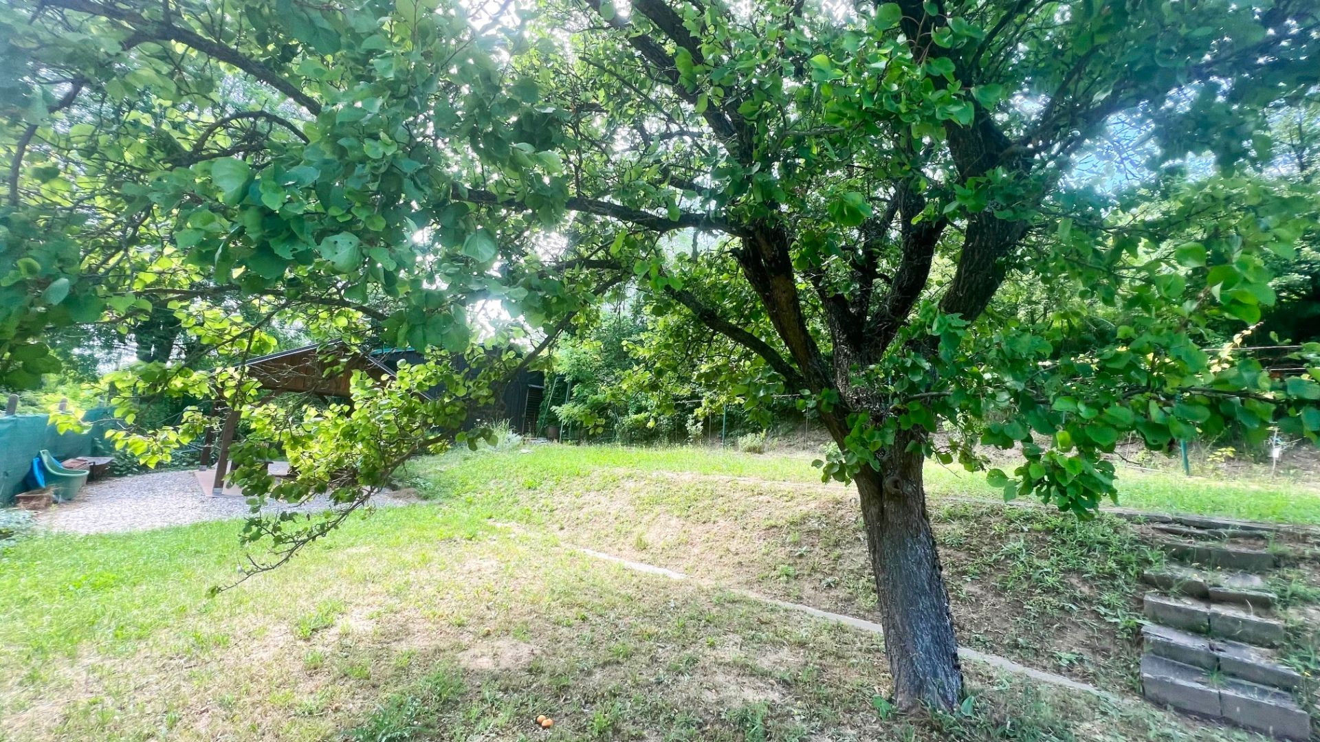 Chatka v lone prírody s pekným pozemkom