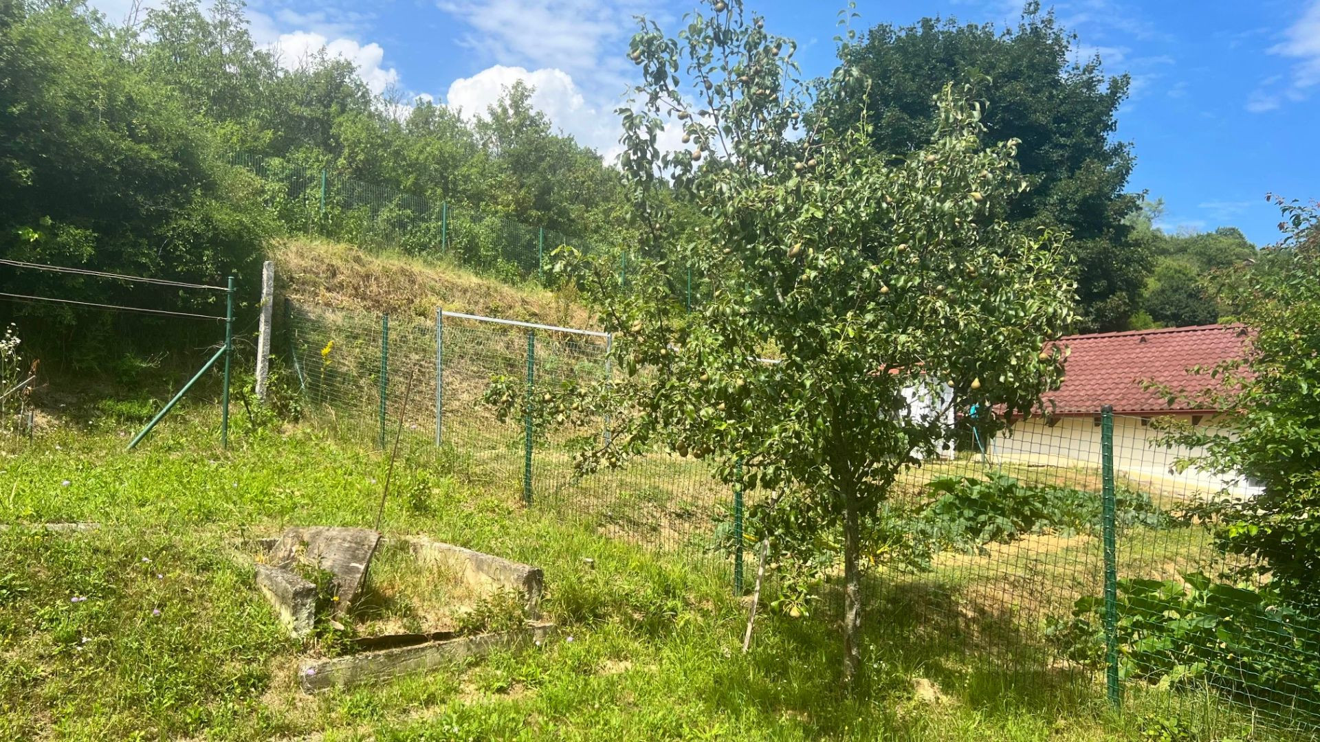 Chatka v lone prírody s pekným pozemkom