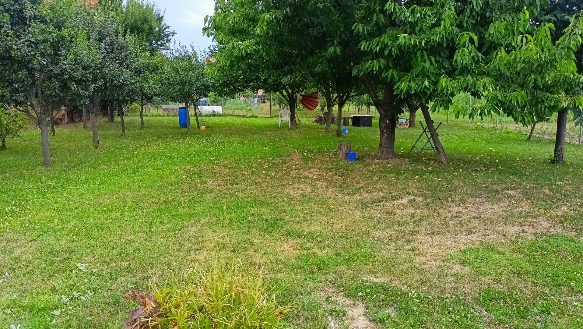 Krásny vidiecky dom s rozsiahlym pozemkom