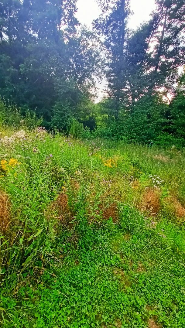Znížená cena! Stavebný pozemok na predaj