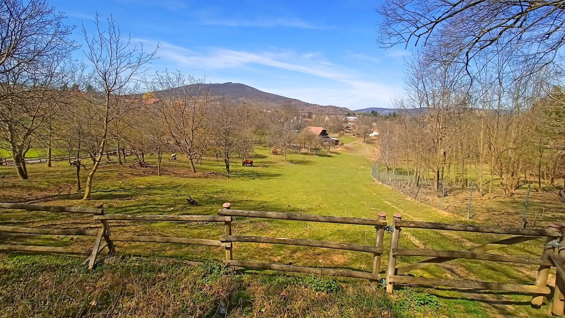 Nádherný investičný pozemok pri lese