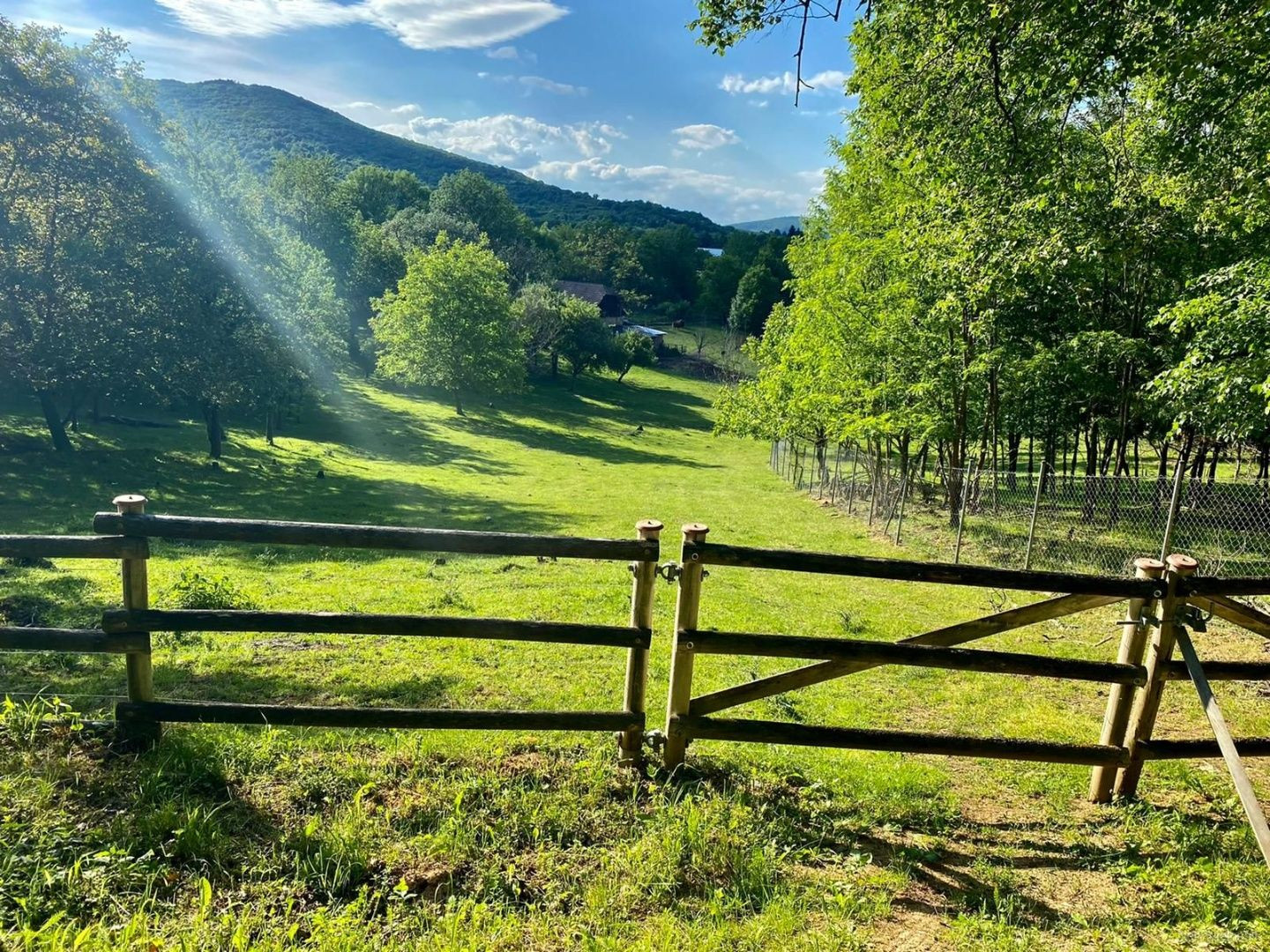 Nádherný investičný pozemok pri lese