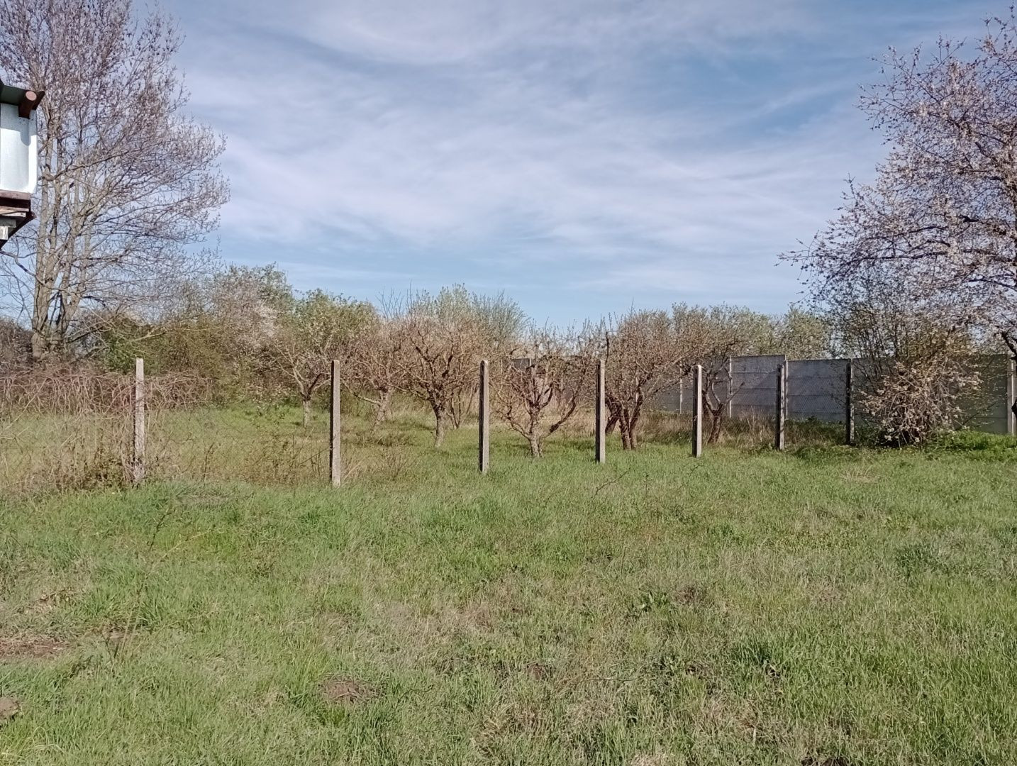 Pekný rovinatý pozemok v Poľnom Kesove