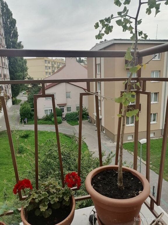 Na predaj priestranný slnečný 3-izbový byt na Krajinskej ulici