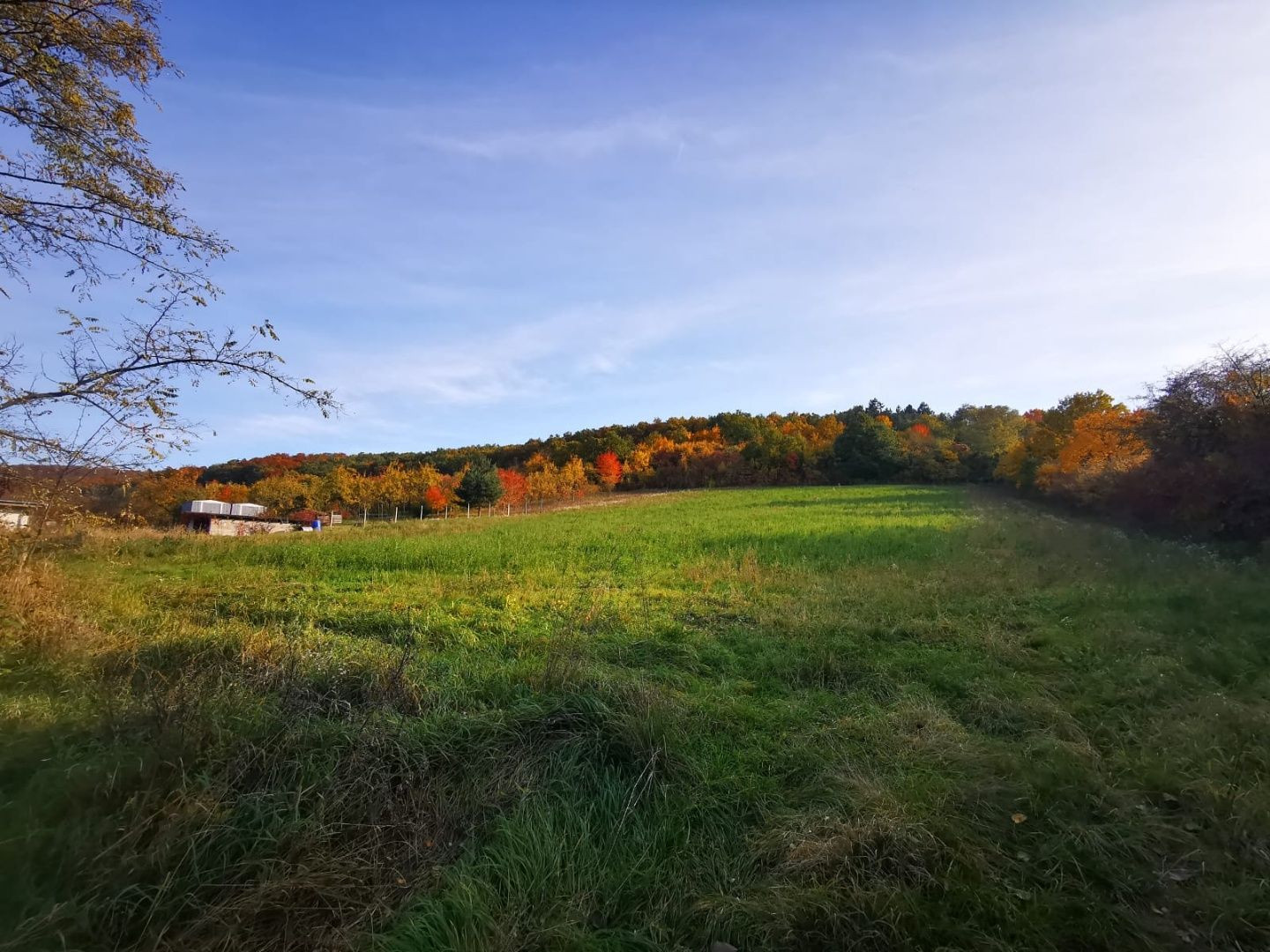 Na predaj slnečný stavebný pozemok v Sokolovciach