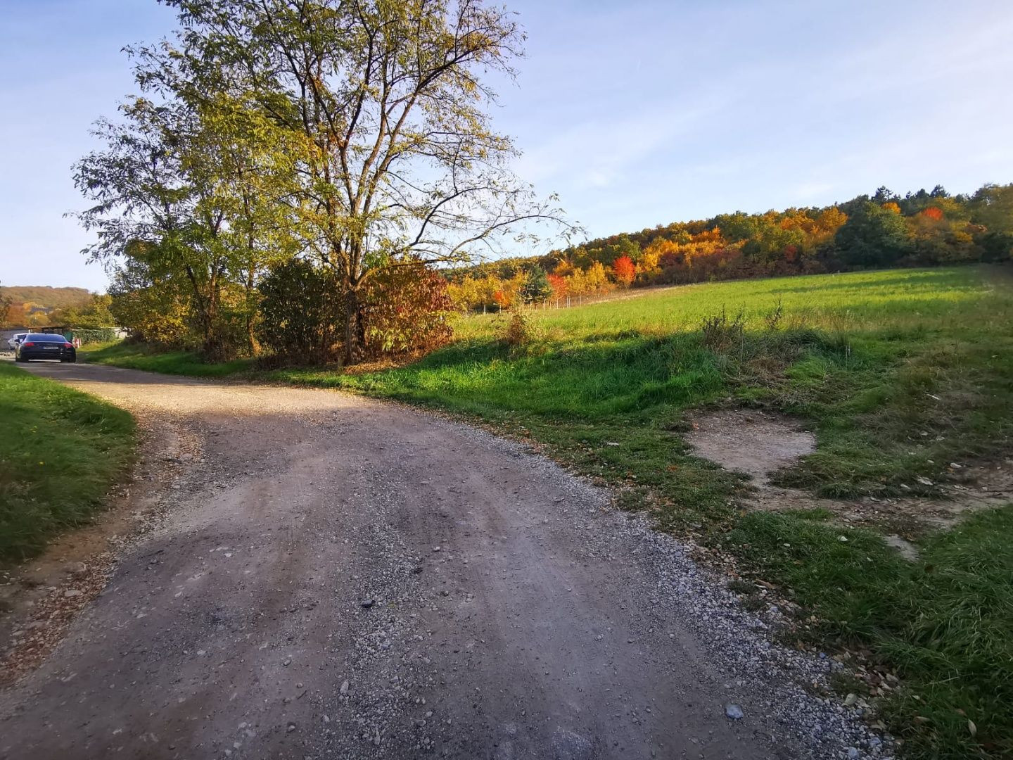 Na predaj slnečný stavebný pozemok v Sokolovciach