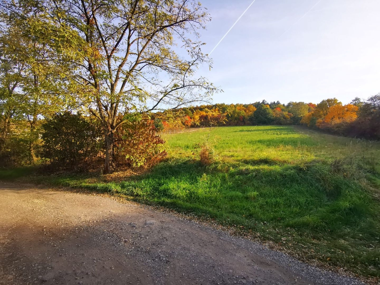 Na predaj slnečný stavebný pozemok v Sokolovciach