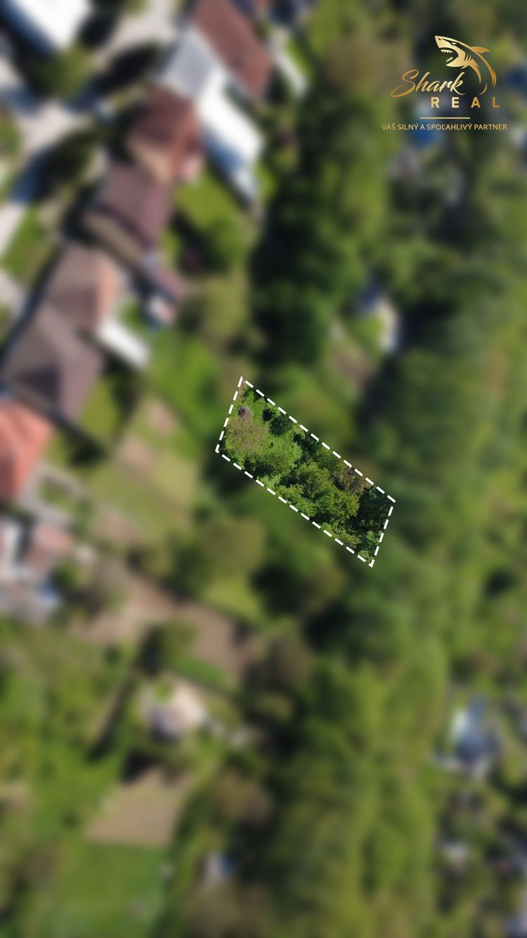 Záhrada _ zámocký park Suchá nad Parnou