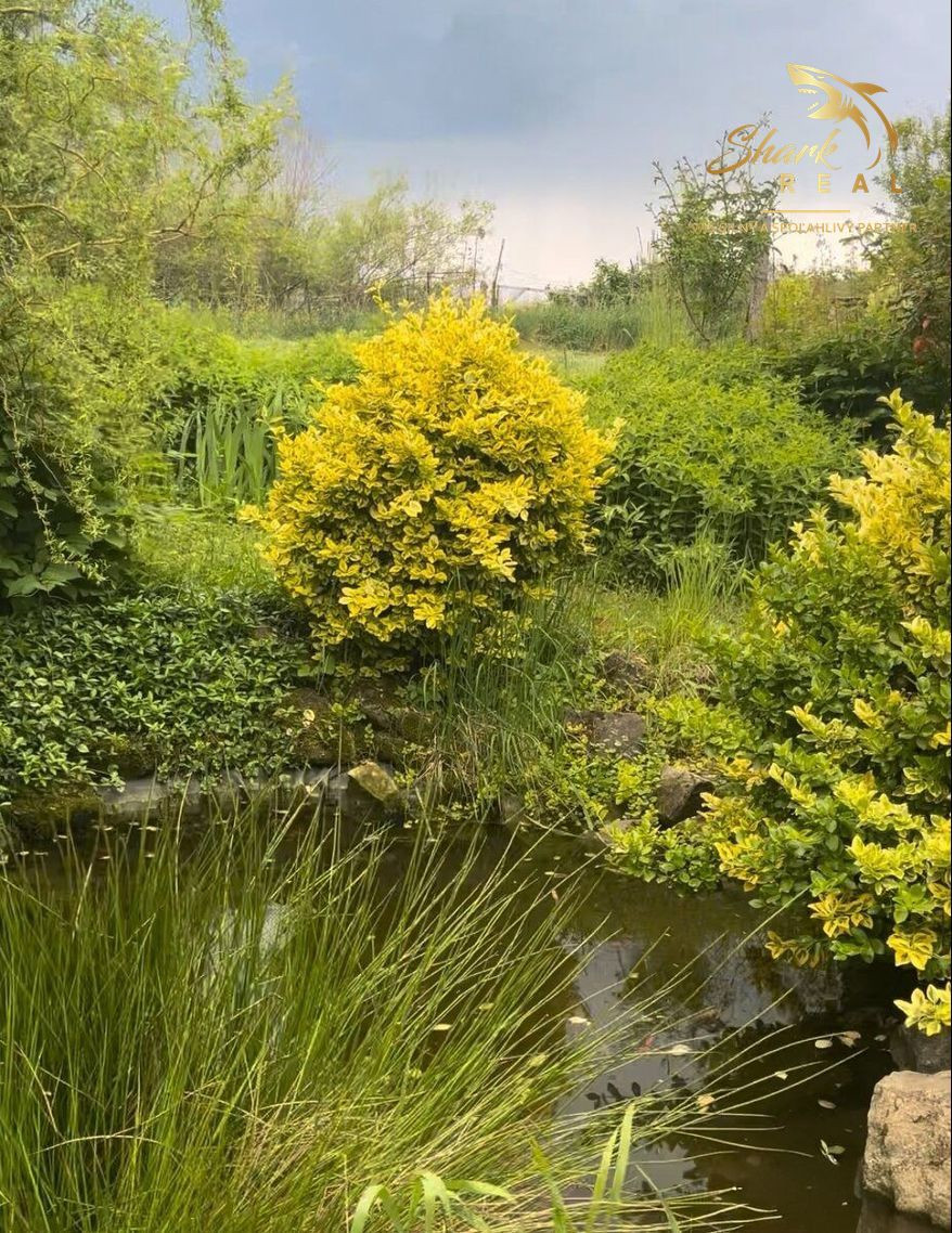 Priestranný 5-izbový rodinný dom s veľkou záhradou v Pezinku