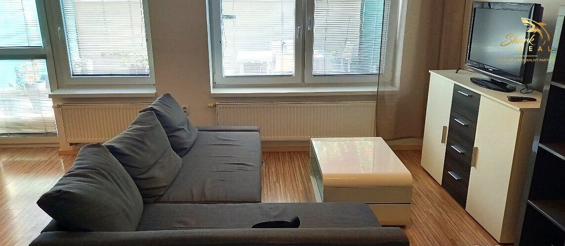 VEĽKÝ 1i byt s terasou _ Prenájom _ Dúbravka _ Novostavba