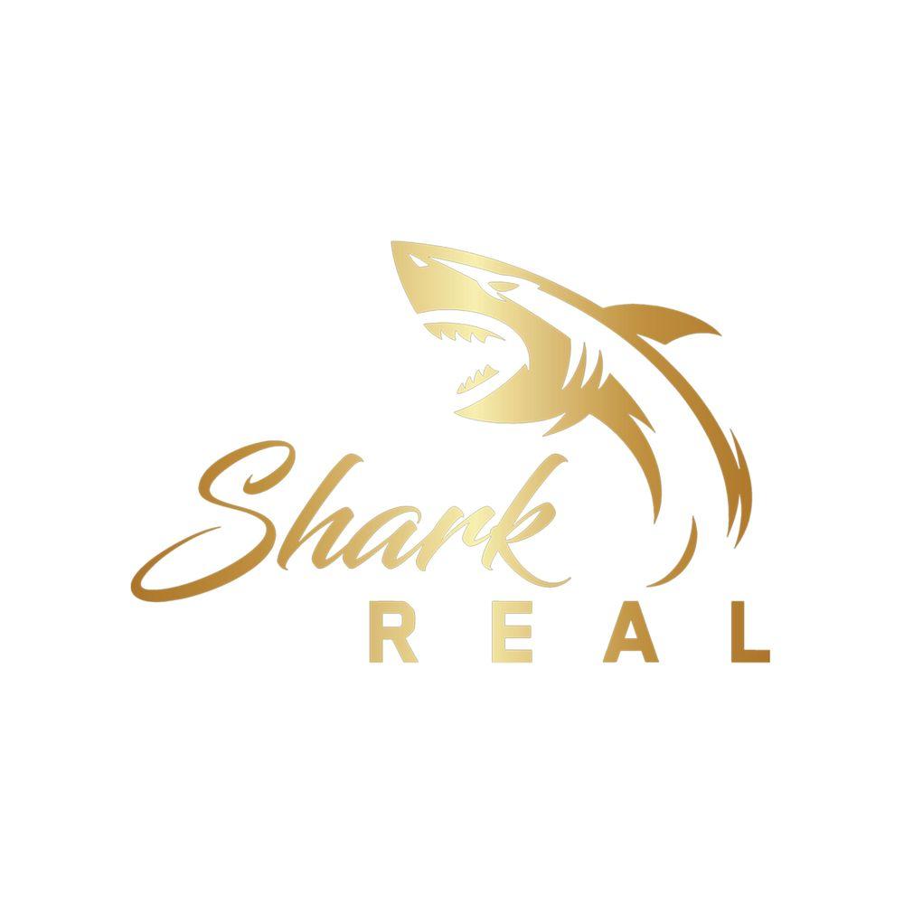 František Toplanský, MBA