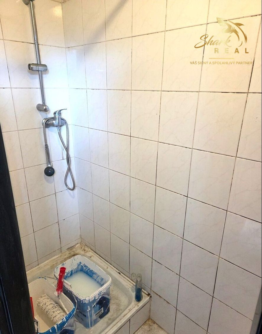 3 - IZBOVÝ BYT TOPOĽČANY