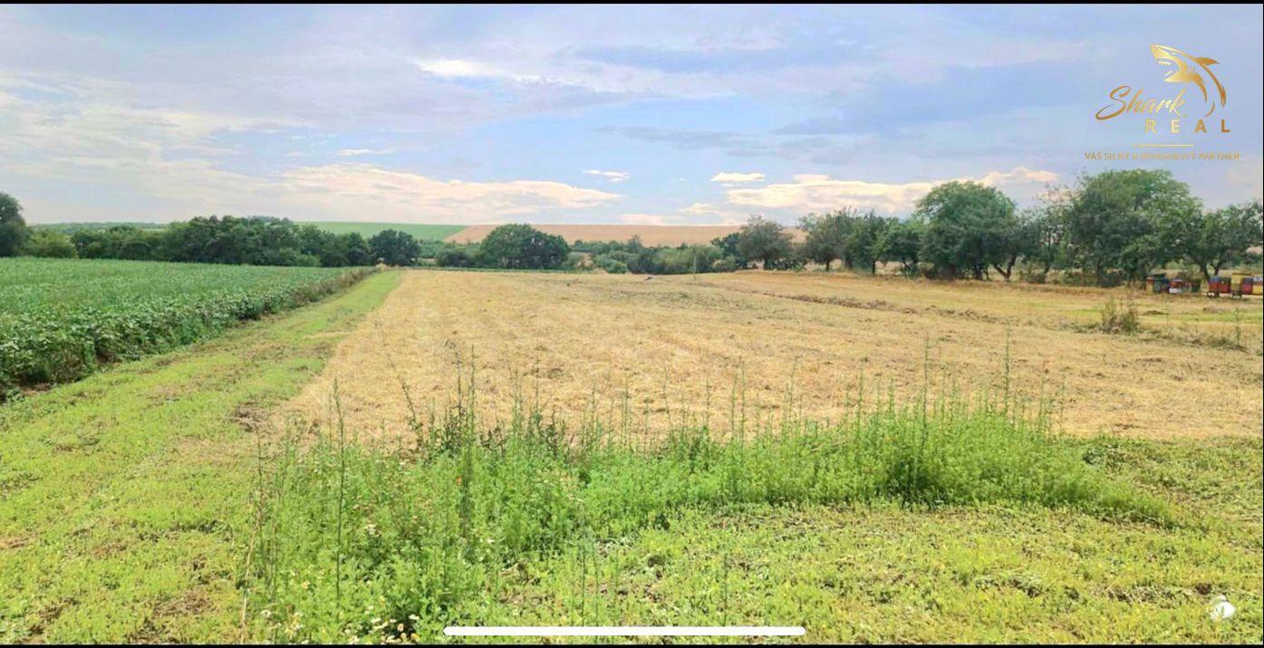 Na predaj Pozemok v Obci Egreš 2000 m² 