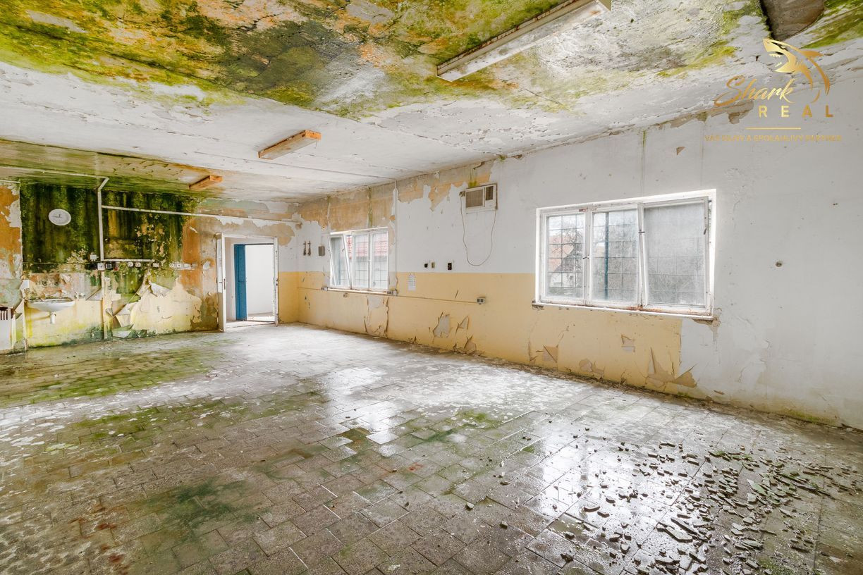 OBCHODNO - SKLADOVÝ PRIESTOR , kaviareň, potraviny alebo iné služby?