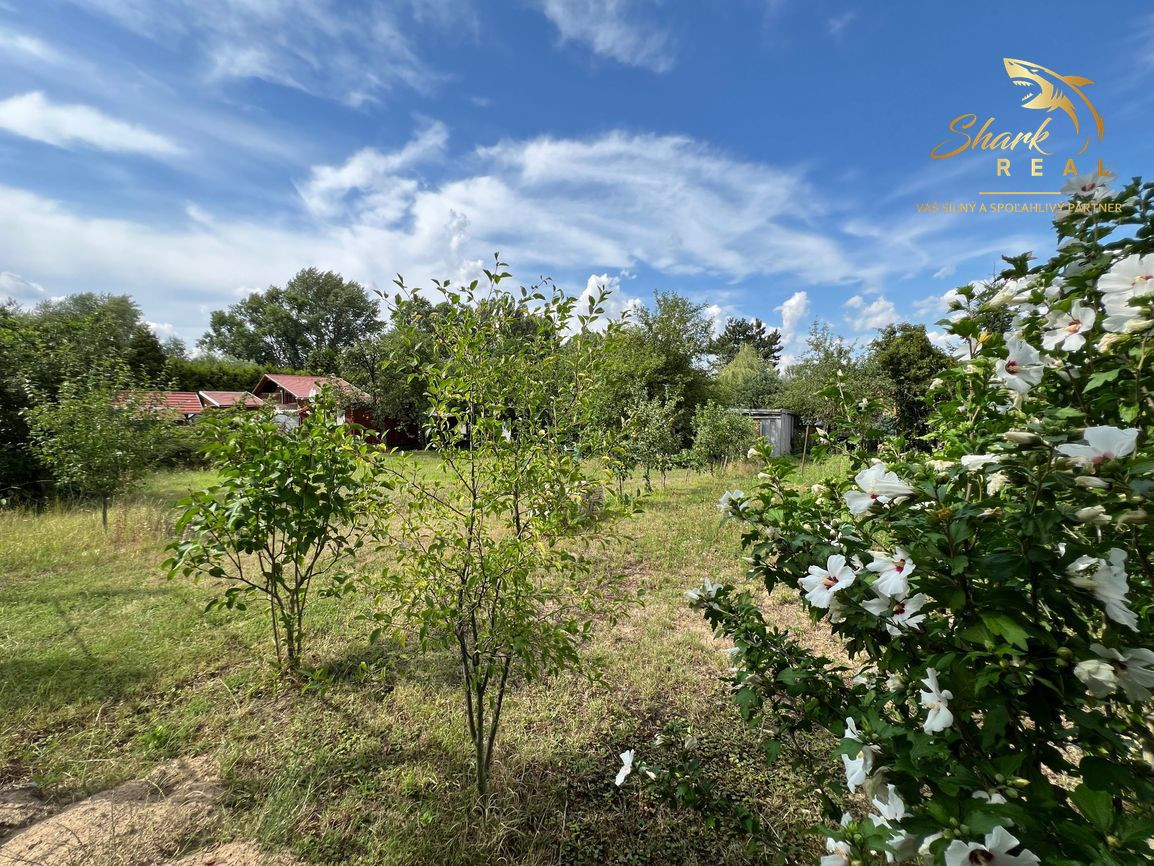 Pozemok na stavbu chatky s možnosťou zastavať až 96m2 