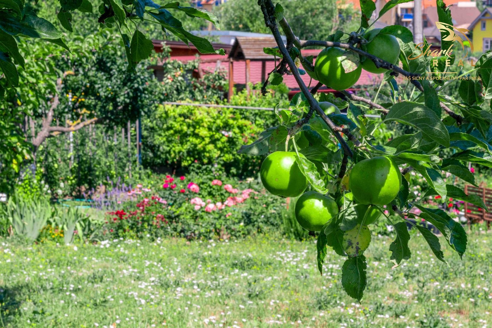 ZNÍŽENÁ CENA - EXKLUZÍVNE: Záhrada s murovanou chatkou – Špačince, Dolný mlyn – len 5 minút od Trnavy!