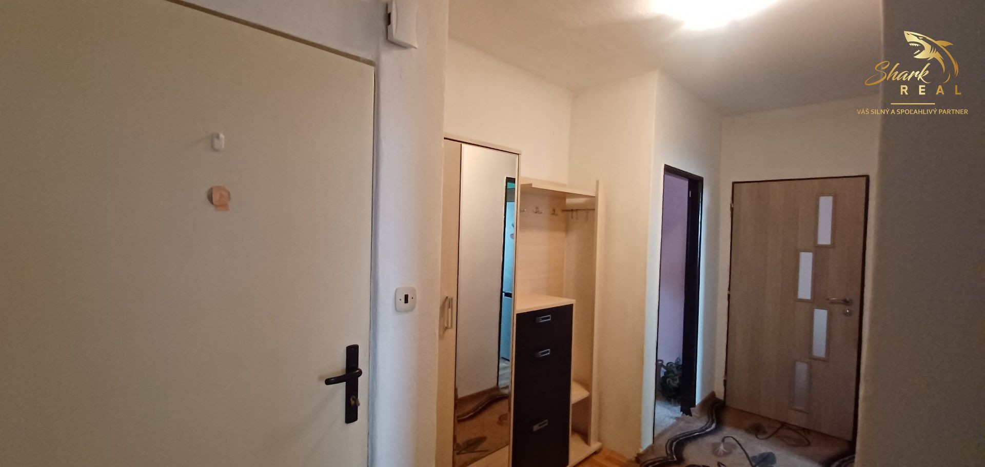 PREDANÉ - Presvetlený veľký 3 izbový byt / Malé Kozmálovce - Levice