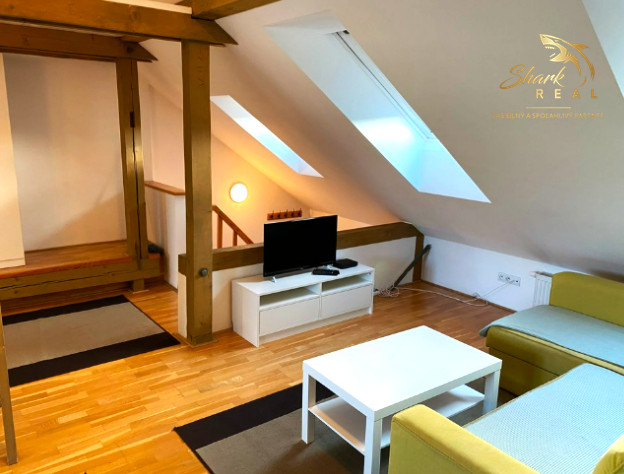 1izbový byt v  Ľudovej  štvrti _ Prenájom 