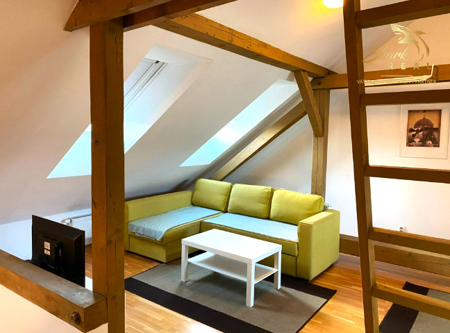 1izbový byt v  Ľudovej  štvrti _ Prenájom 