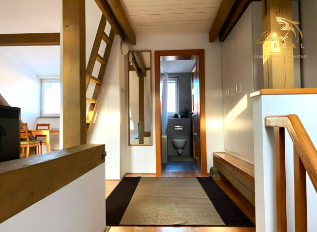 1izbový byt v  Ľudovej  štvrti _ Prenájom 