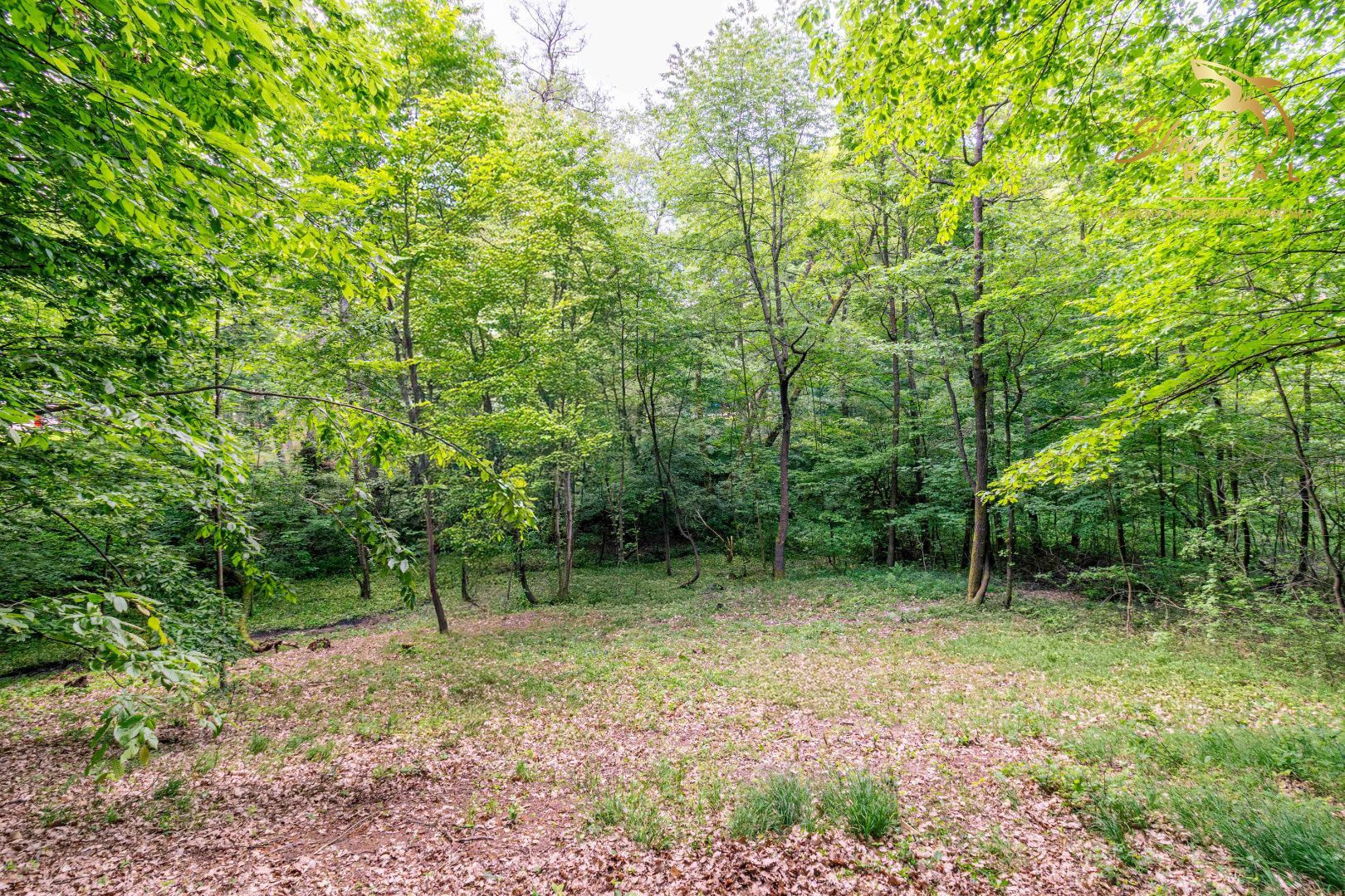 Duchonka / Pozemok  na výstavbu chaty v lone prírody