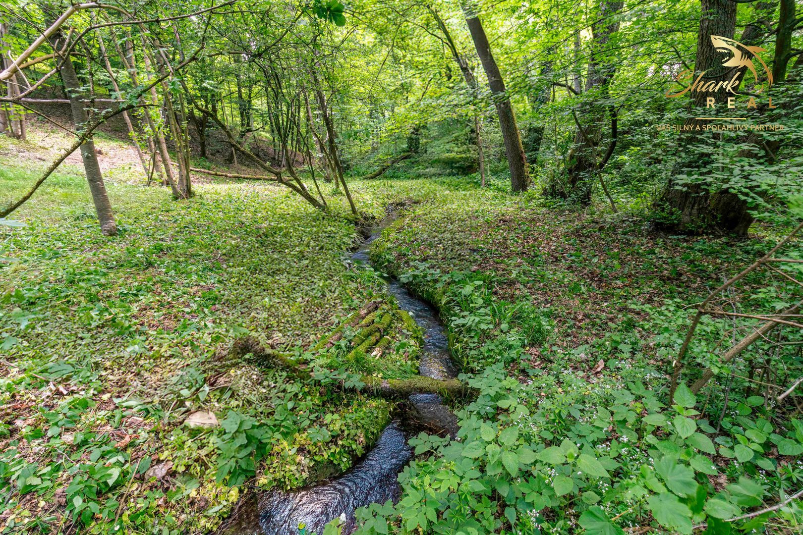Duchonka / Pozemok  na výstavbu chaty v lone prírody