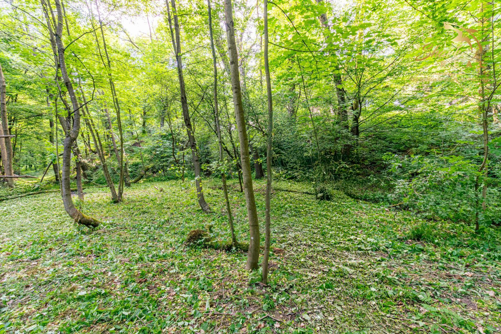Duchonka / Pozemok  na výstavbu chaty v lone prírody
