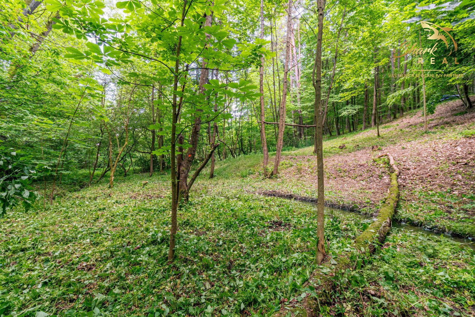 Duchonka / Pozemok  na výstavbu chaty v lone prírody