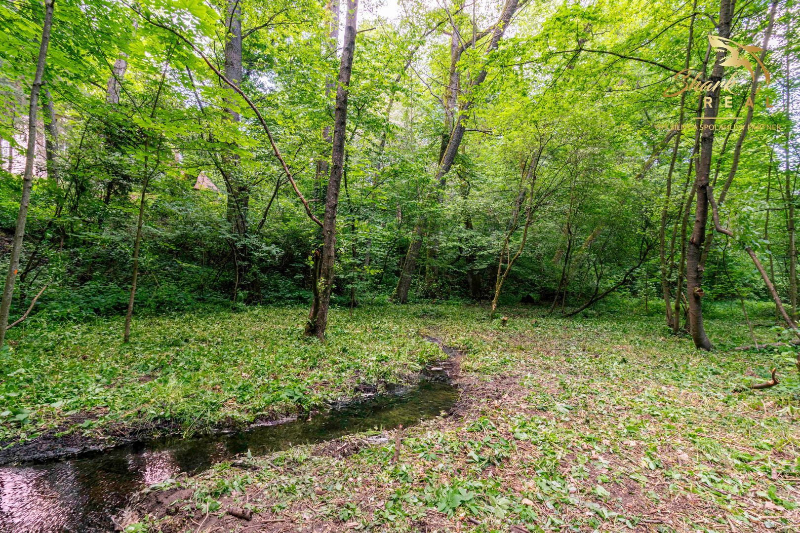 Duchonka / Pozemok  na výstavbu chaty v lone prírody