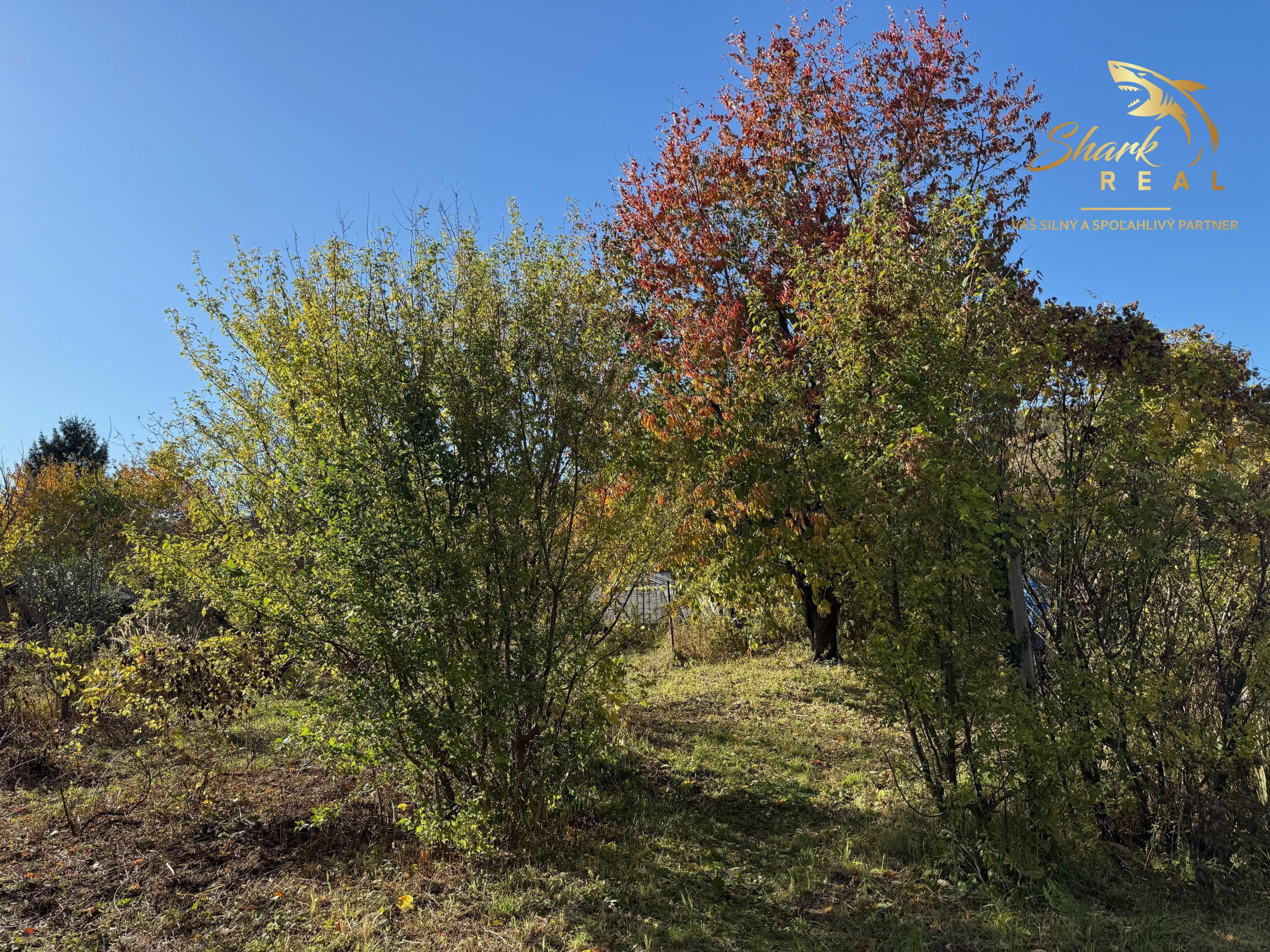EKONOMICKÁ CENA _ 700 m2 _ Rekreačný pozemok _MLADÁ GARDA Bratislava