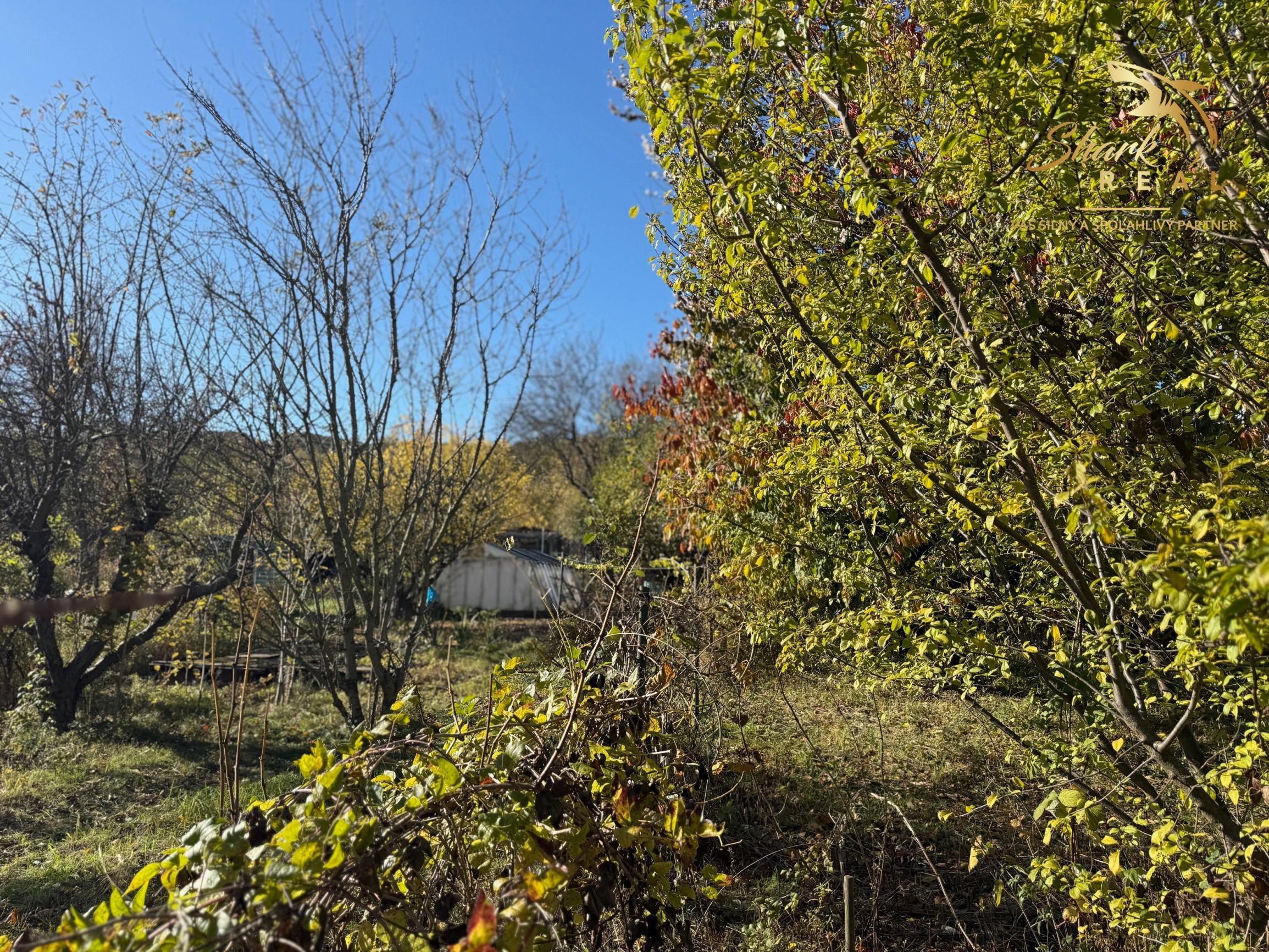 EKONOMICKÁ CENA _ 700 m2 _ Rekreačný pozemok _MLADÁ GARDA Bratislava