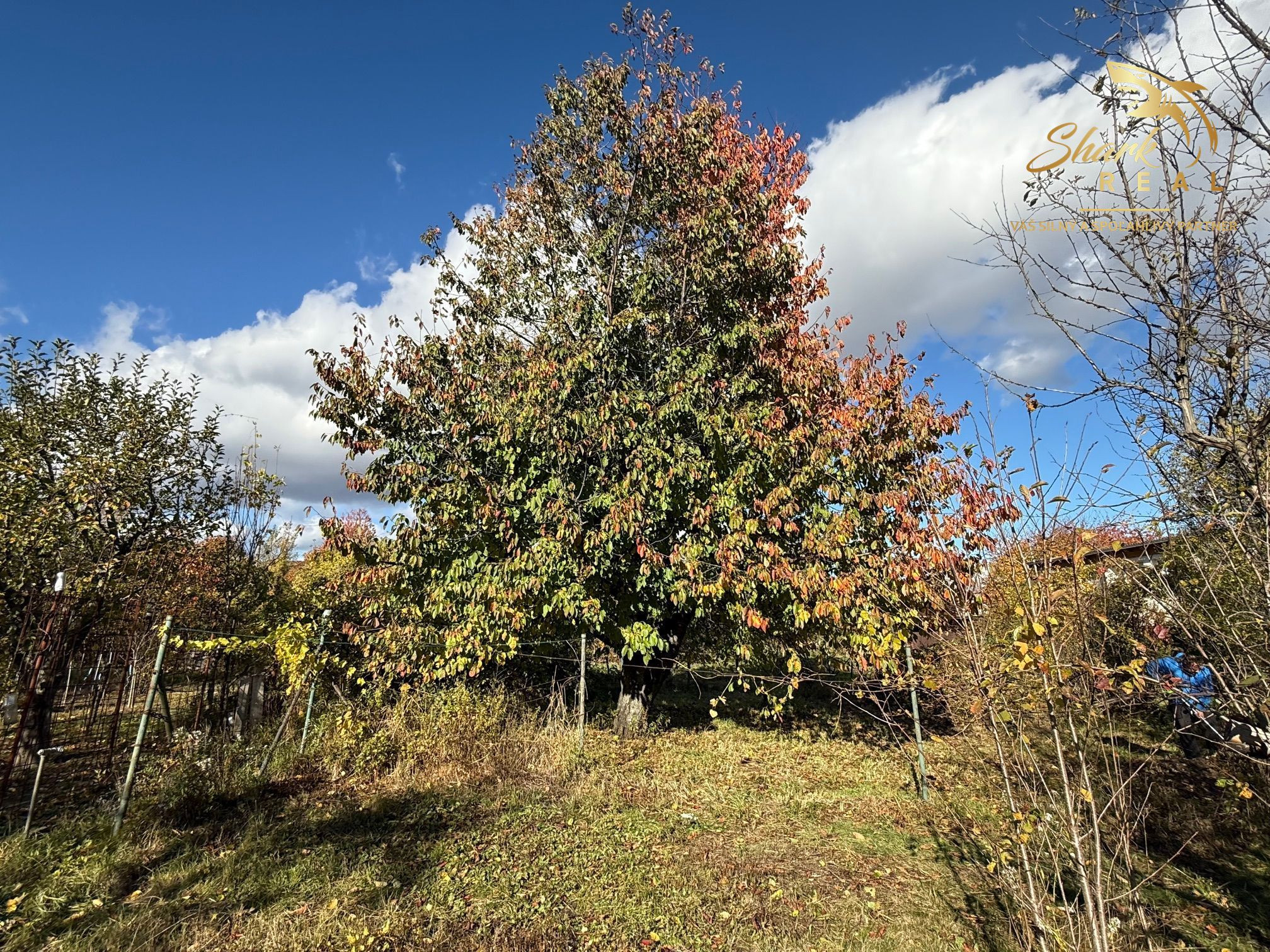 EKONOMICKÁ CENA _ 700 m2 _ Rekreačný pozemok _MLADÁ GARDA Bratislava