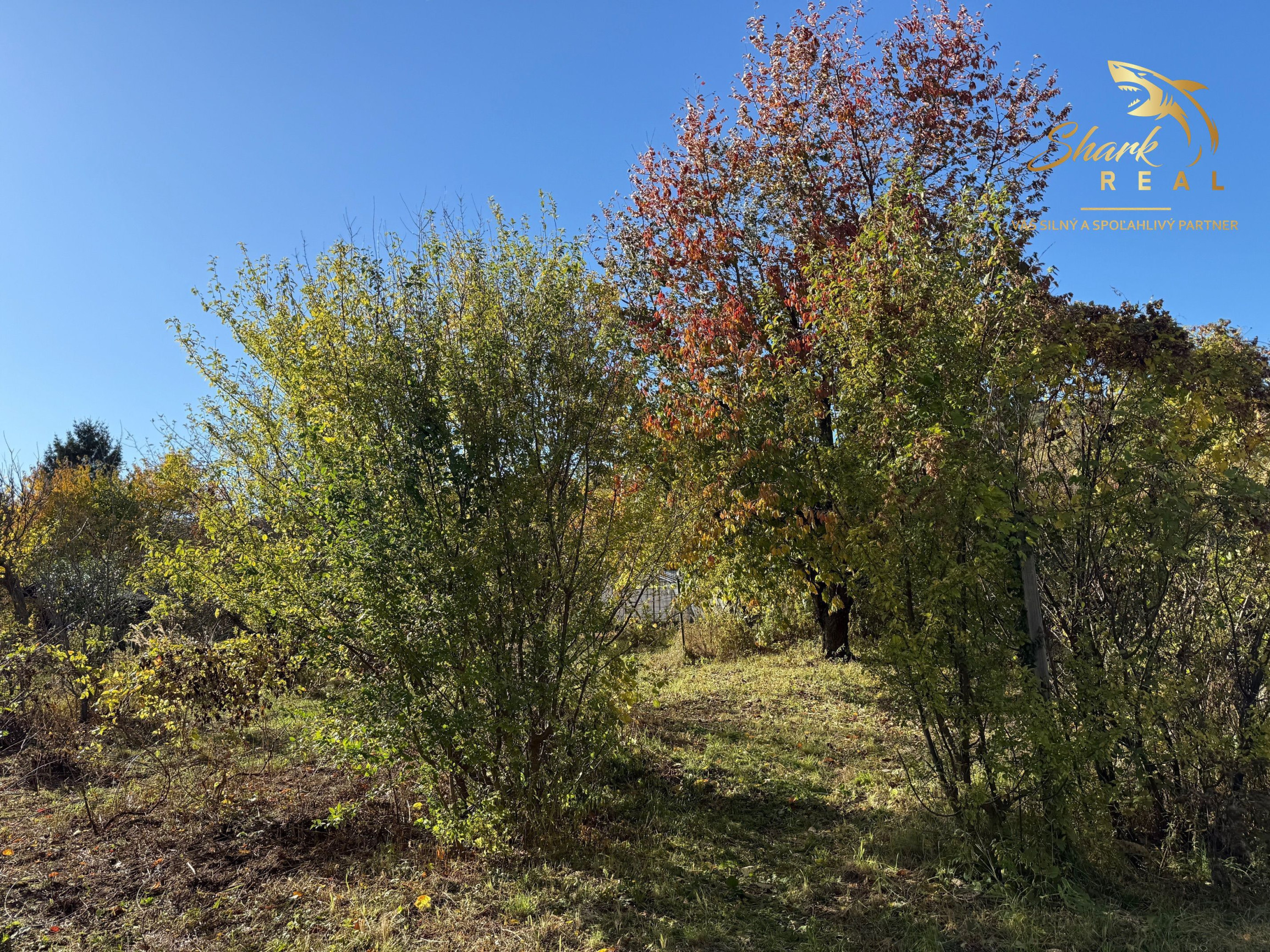 ZAHRADA 700 m2 _  Mladá Garda