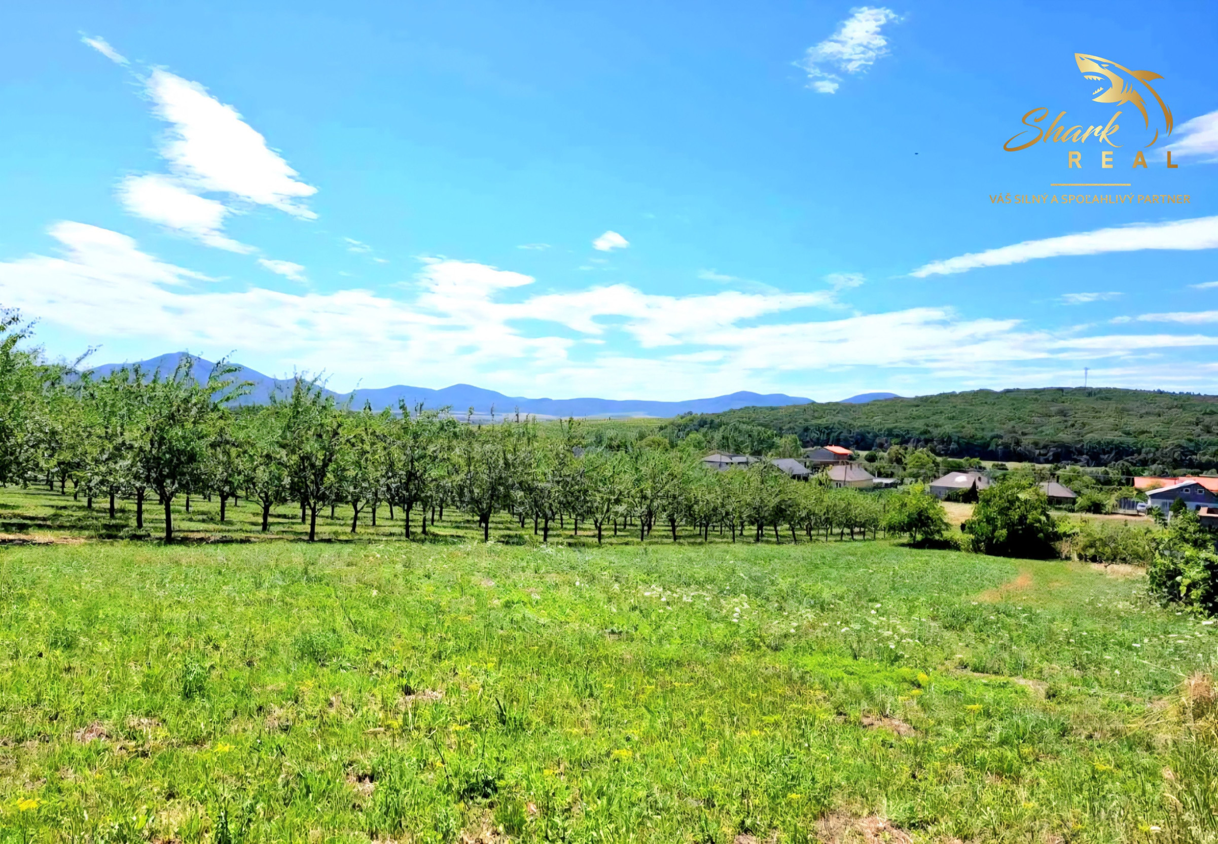 Stavebný pozemok v obci Veľká Tŕňa (Tokajská oblasť)