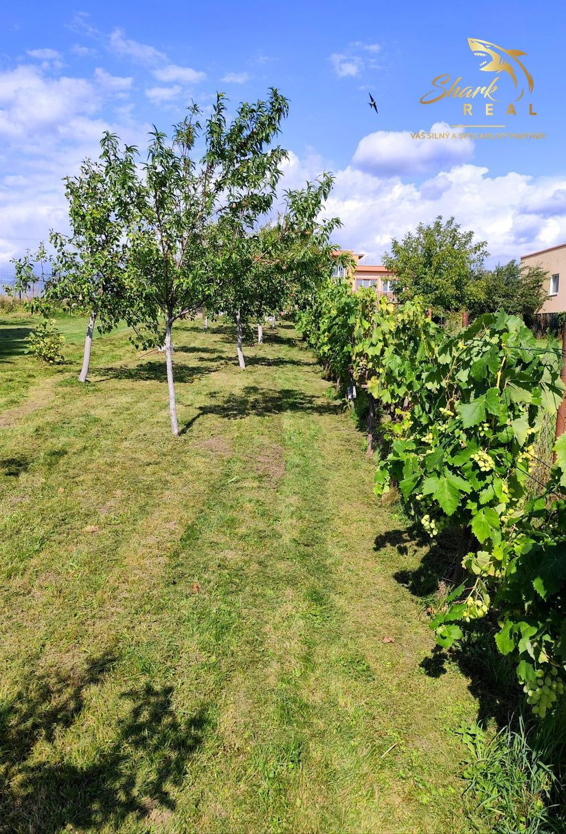 Slnečný pozemok s panoramatickým výhľadom